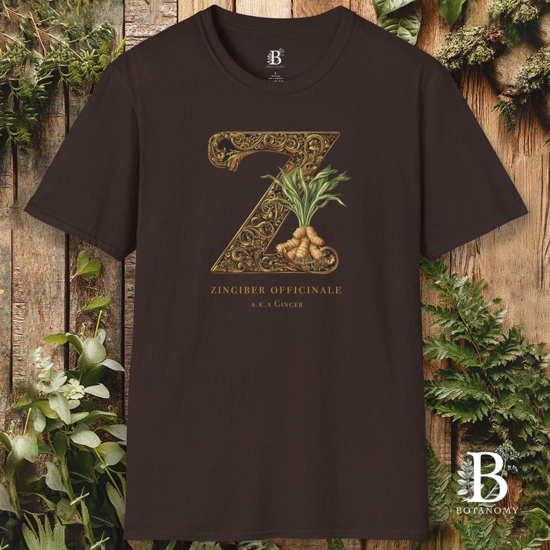 Brown t-shirt with decorative 'Z' design and brand logo on a wooden background